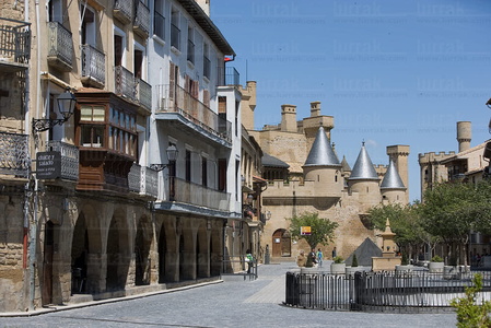 07418-Castillo de Olite, Navarra