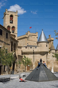 07421-Castillo de Olite, Navarra