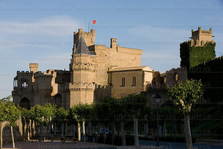 07423-Castillo de Olite, Navarra