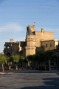 07425-Castillo de Olite, Navarra