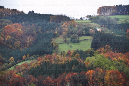 07604-Paisaje en otoño . Alegia, Gipuzkoa, Euskadi
