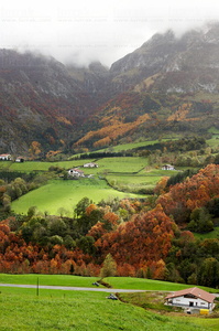 07609-Otoño en Sierra de Aralar. Gipuzkoa, Euskadi