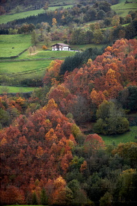07613-Sierra de Aralar. Gipuzkoa, Euskadi