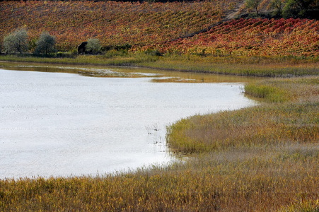 07689-Laguna de Carrologroño. Lagunas de Laguardia, Alava, Eusk