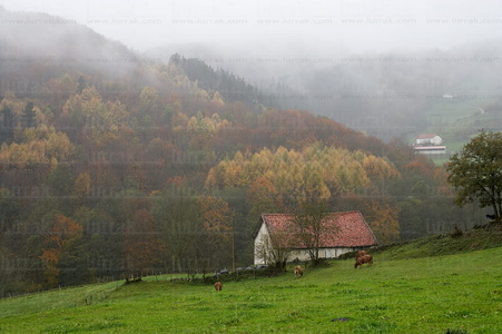 07894-Caserío en otoño. Bidegoian, Gipuzkoa, Euskadi