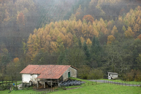 07895-Caserío en otoño. Bidegoian, Gipuzkoa, Euskadi