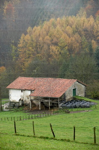 07896-Caserío en otoño. Bidegoian, Gipuzkoa, Euskadi