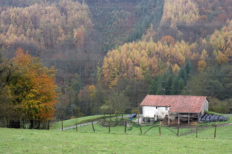 07900-Caserío en otoño. Bidegoian, Gipuzkoa, Euskadi