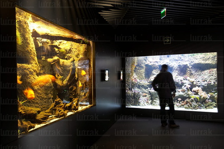 08172-Aquarium. San Sebastián, Gipuzkoa, Euskadi