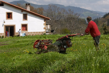 08224-Segando hierba. Zerain, Gipuzkoa, Euskadi