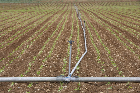 08425-Sistema de riego en campo de cultivo. Gereñu, Alava, Eusk