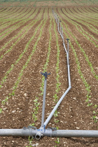 08426-Sistema de riego en campo de cultivo. Gereñu, Alava, Eusk