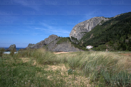 08524-Playa de Laga. Cabo Ogoño, Ibarangelu, Bizkaia, Euskadi