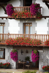 08697-Caserío con flores en los balcones, Kortezubi, Bizkaia, E