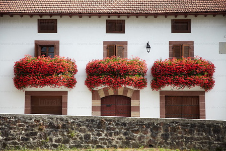 08838-Balcones con Flores. Valle de Erro, Navarra