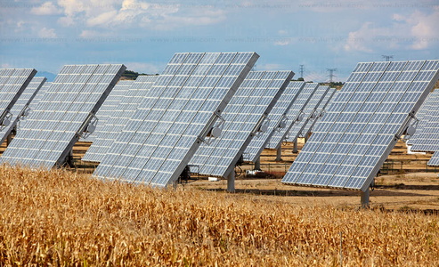 09PXE_1060-Paneles solares, Energía fotovoltaica, Huerta solar.