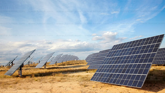 09PXE_1069-Paneles solares, Energía fotovoltaica, Huerta solar.