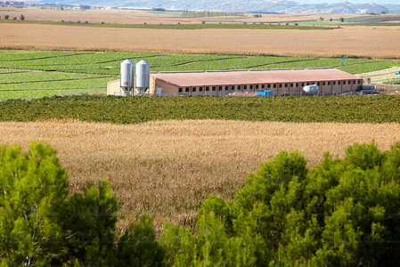 09PXE_1070-Granja y Campos agrícolas. Milagro, Navarra