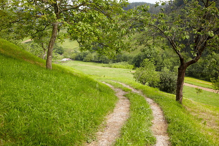 09PXE_763-Camino rural. Rodadas. Zestoa, Gipuzkoa, Euskadi