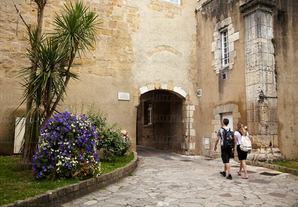 09PXE_971-Chateau-Vieux  . Bayona, Lapurdi, Francia