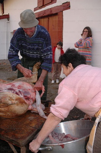 09RT_0036-Matanza del cerdo. St Pee sur Nivelle, Lapurdi, País 