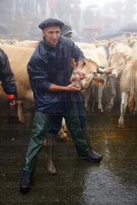 011MDR_0685-El Tributo de las Tres Vacas, Navarra