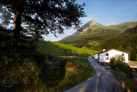 011PXE_1543-Monte Txindoki. Sierra de Aralar. Gipuzkoa, Euskadi