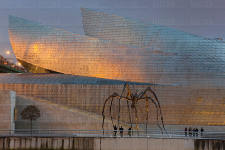 012FJG_0020-Museo Guggenheim, Bilbao, Bizkaia, Euskadi
