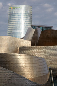 013PXE_0120-Museo Guggenheim, Bilbao, Bizkaia, Euskadi