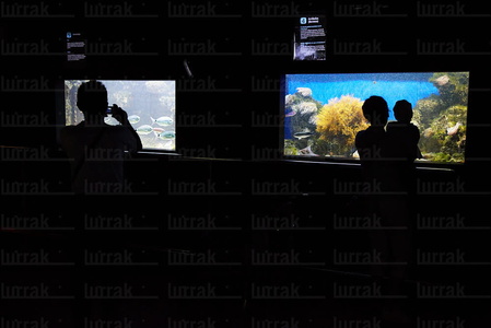 09456-Aquarium-Getxo-Bizkaia-Euskadi