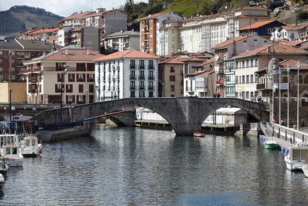 09624-Puente-Viejo-Artibai-Ondárroa-Bizkaia-Euskadi