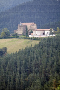09971-Colegiata de Zenarruza . Bolivar, Bizkaia, Euskadi
