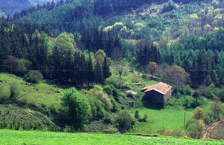 00647-Caserio-Valle-Beizama-Gipuzkoa-Euskadi