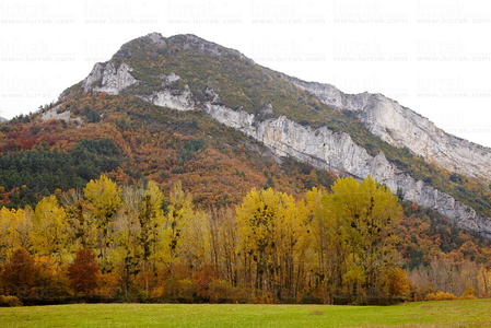 10411-Paisaje-Monte-Bosque-Otoño-Valderejo-Lalastra-Álava-Eusk