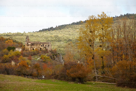 10412-Otoño-Parque-Natural-Valderejo-Lalastra-Álava-Euskadi