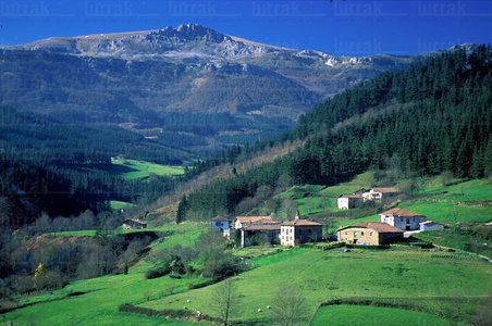 01427-Barrio-San-Juan-Monte-Aldamin-Gorbea-Eusjkadi