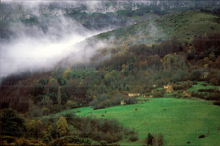 01905-Parque-Natural-Valderejo-Álava-Euskadi