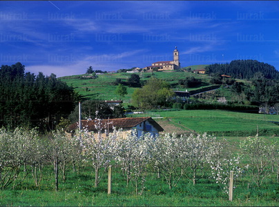 02118-Primavera-Lumo-Bizkaia-Euskadi