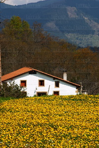02661-Caserío-Primavera-Laiotz-Gipuzkoa-Euskadi