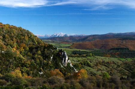 04165-Bosque-Otoño-Sierra-Abodi-Navarra