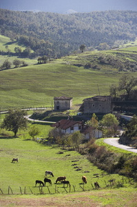 05044-Paisaje rural en el valle de Ayala. Alava, Euskadi