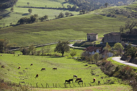 05045-Paisaje rural en el valle de Ayala. Alava, Euskadi
