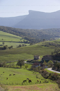05046-Paisaje rural en el valle de Ayala. Alava, Euskadi