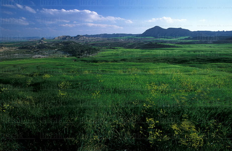 05151-Parque Natural de las Bárdenas. Navarra