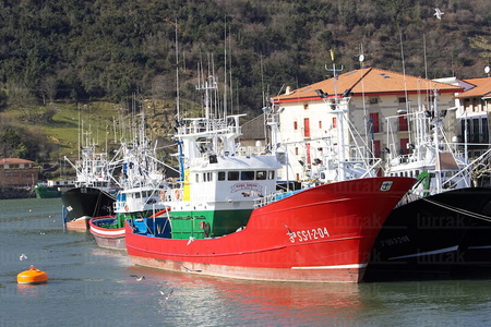 05290-Barcos pesqueros. Orio, Gipuzkoa, Euskadi