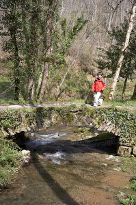 05379-Ferrería de Agorregi. Aia, Gipuzkoa, Euskadi