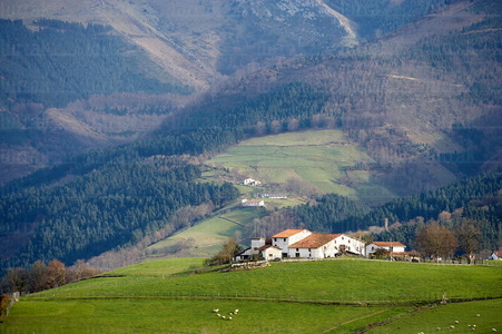 05437-Sierra de Aralar. Gipuzkoa, Euskadi