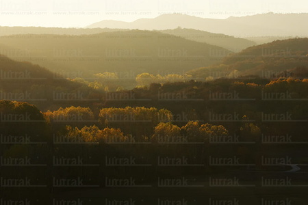 05960-Parque Natural de Izki. Alava, Euskadi
