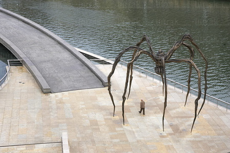 06121-La araña 'Maman', Museo Guggenheim, Bilbao, Bizkaia, Eusk