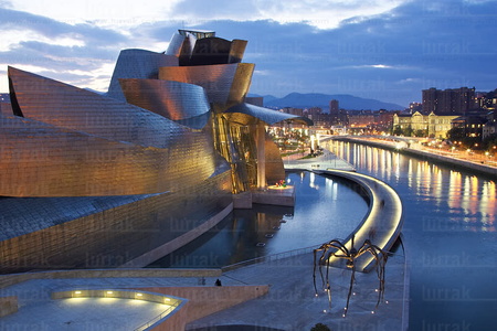06129-Museo Guggenheim, Bilbao, Bizkaia, Euskadi
